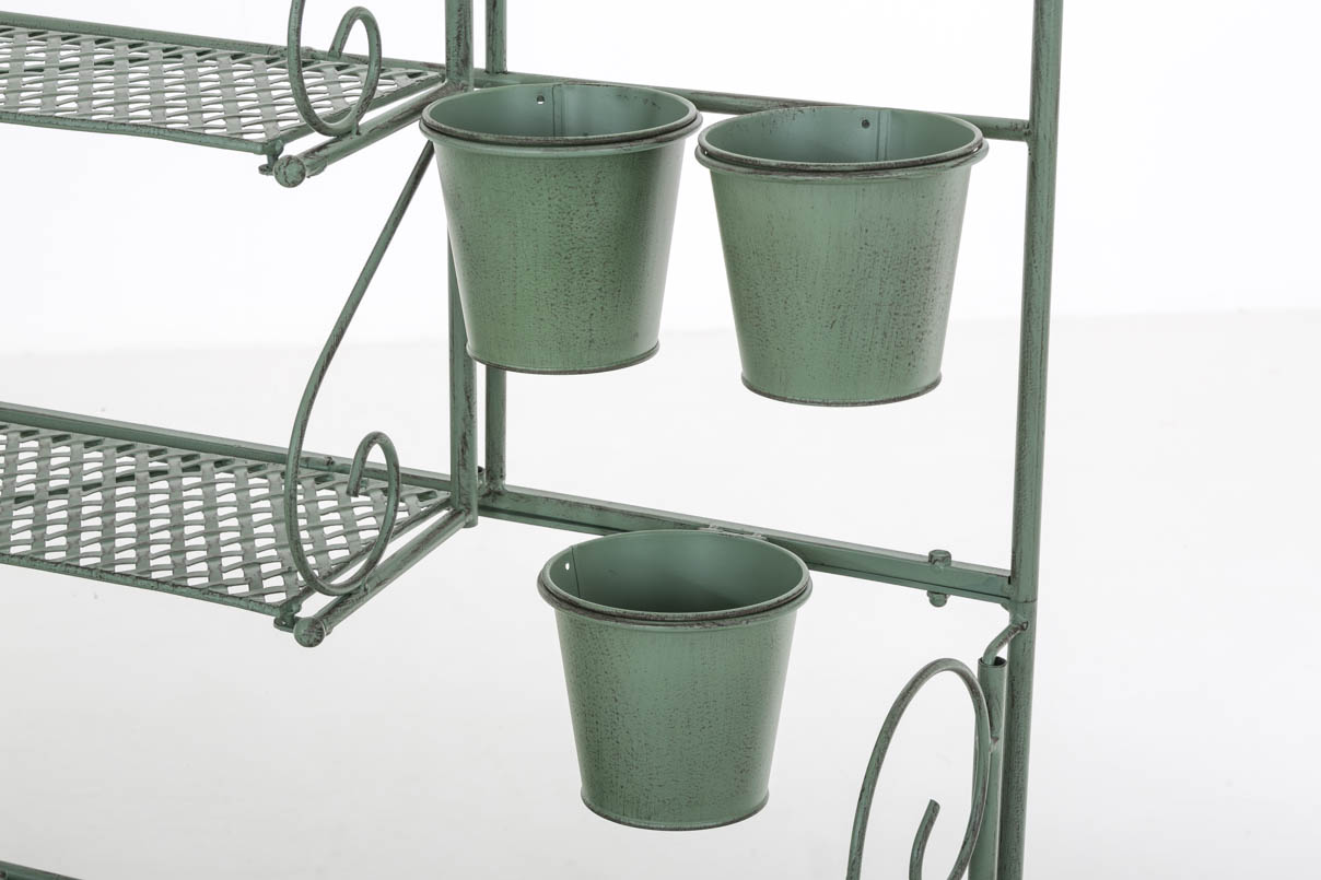 XL plantenrek Shine