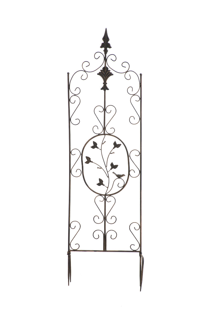 Klimplantenhulp  Burgus