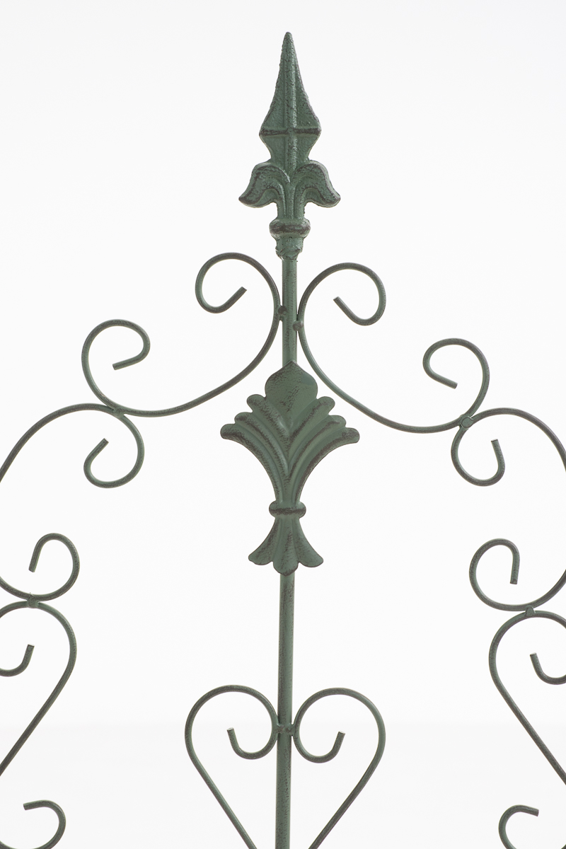 Klimplantenhulp  Burgus