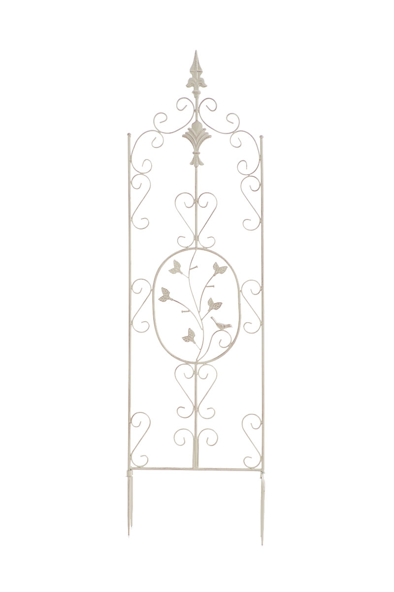 Klimplantenhulp  Burgus