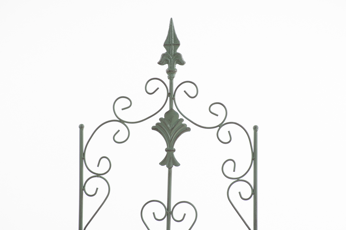 Klimplantenhulp  Burgus