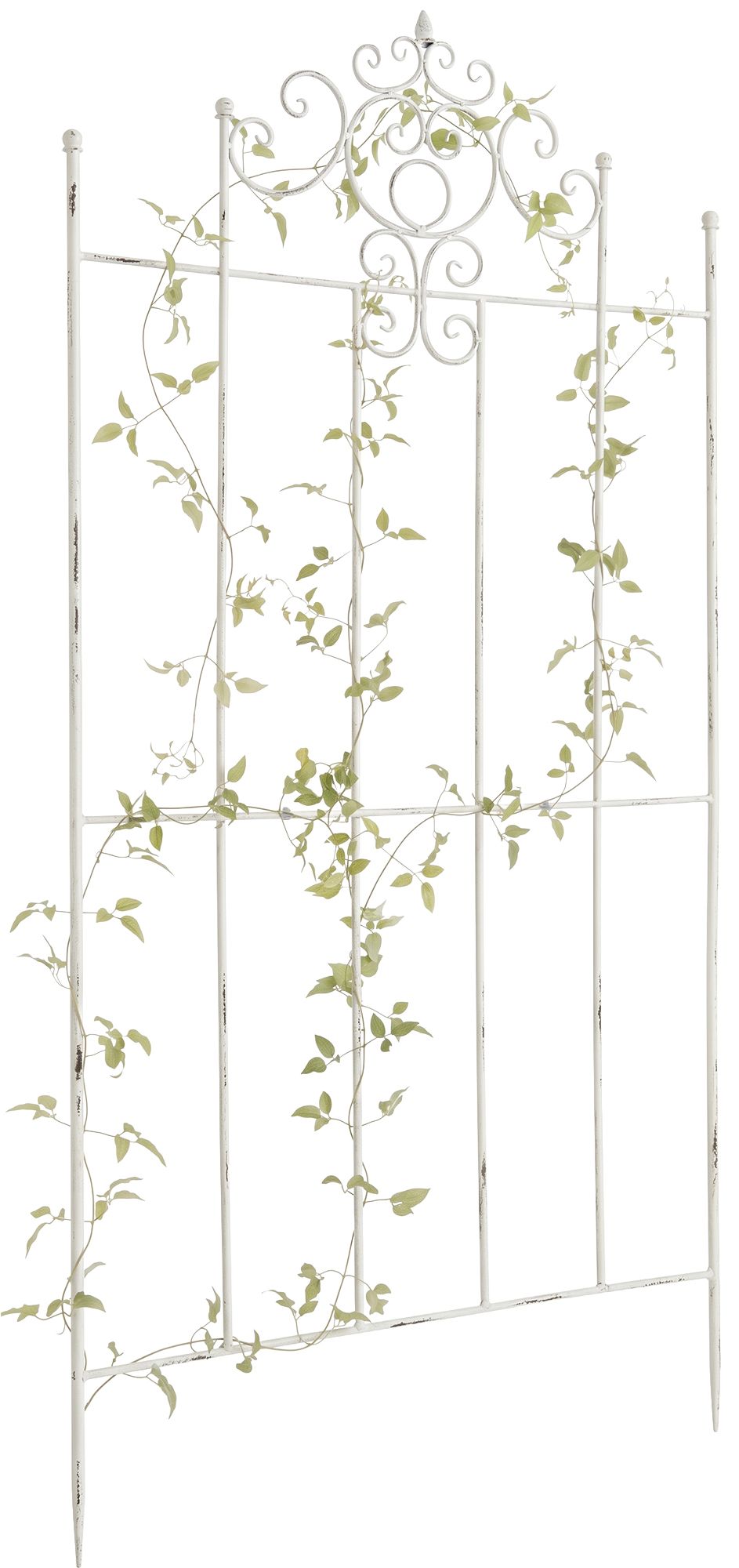 rankgitter-paula-170-x-86-cm-424072