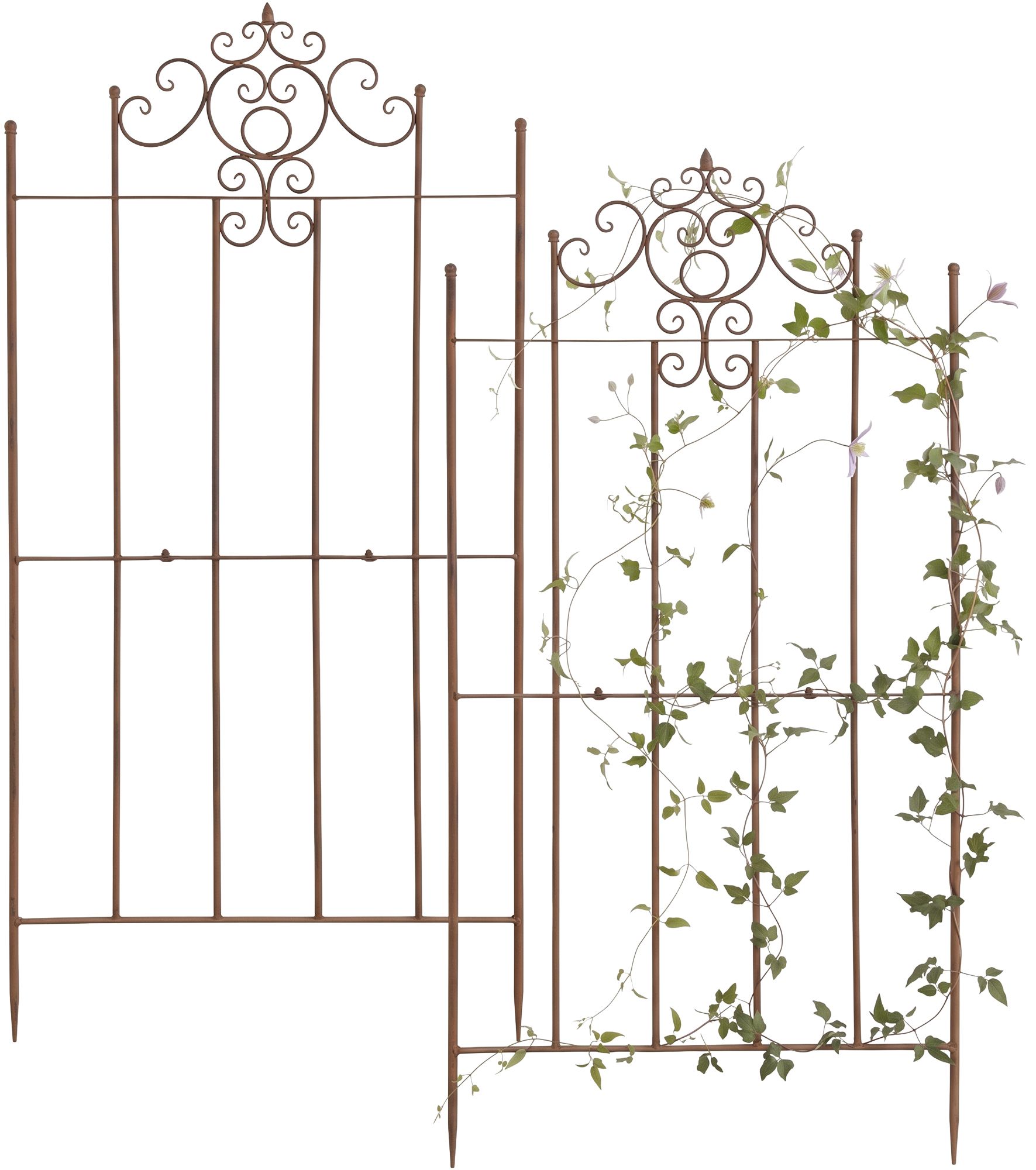 Set van 2 Trellis Paula 170 x 86 cm