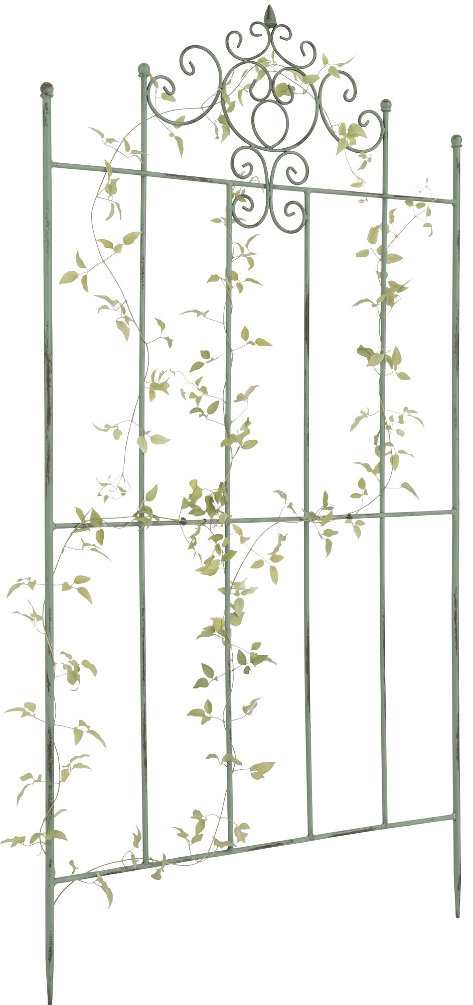 rankgitter-paula-170-x-86-cm-424100