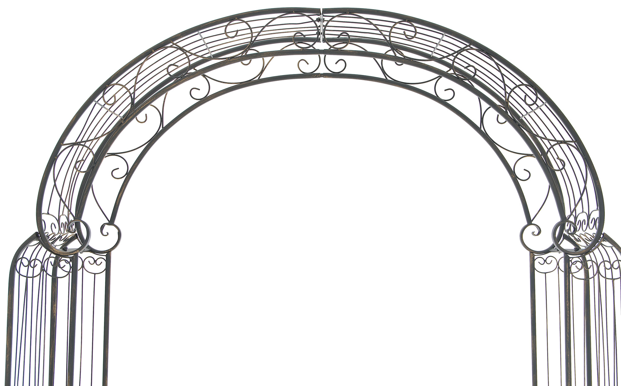 Rozenboog Alessia