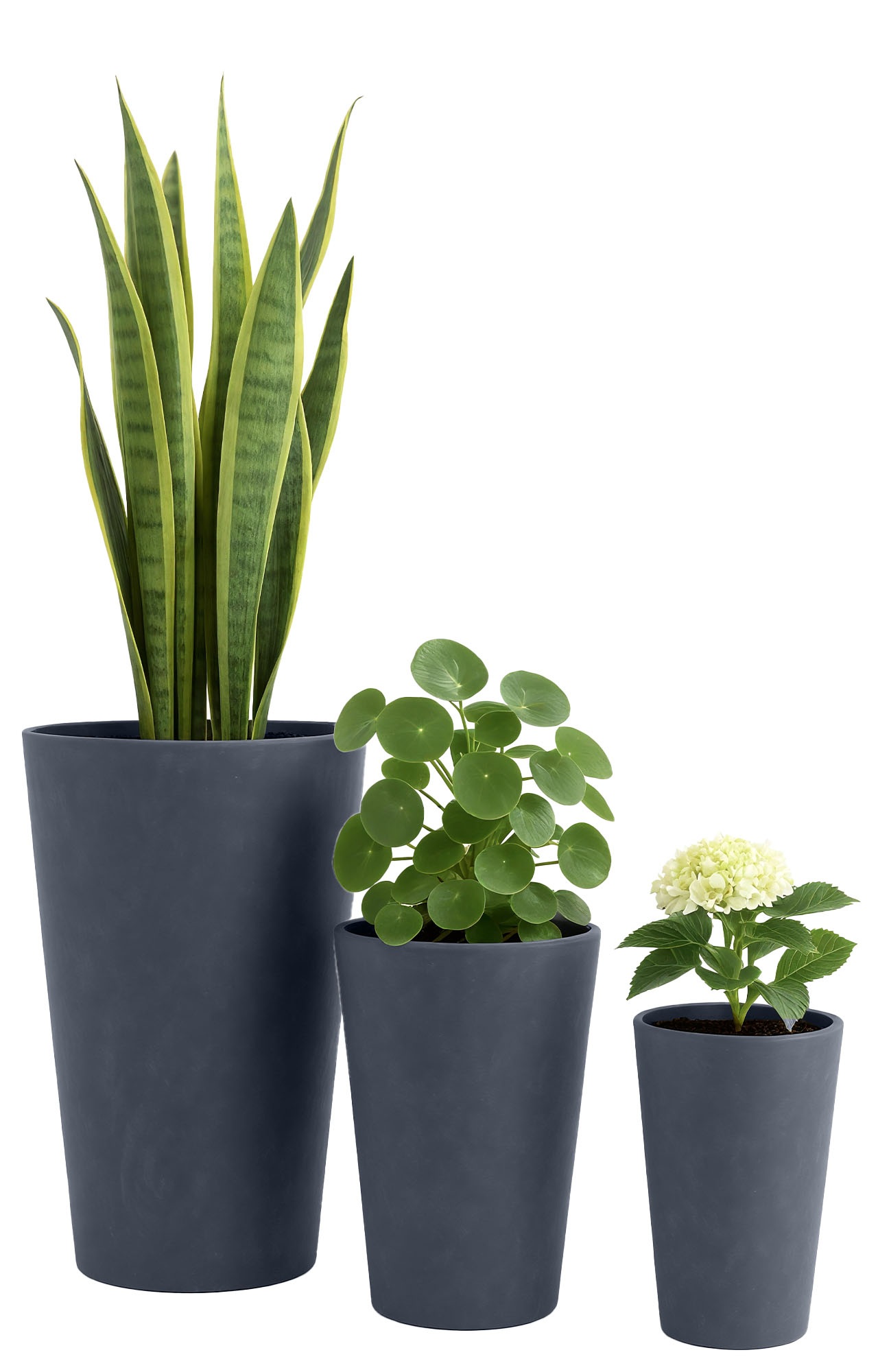 Set van 3 ronde bloempotten
