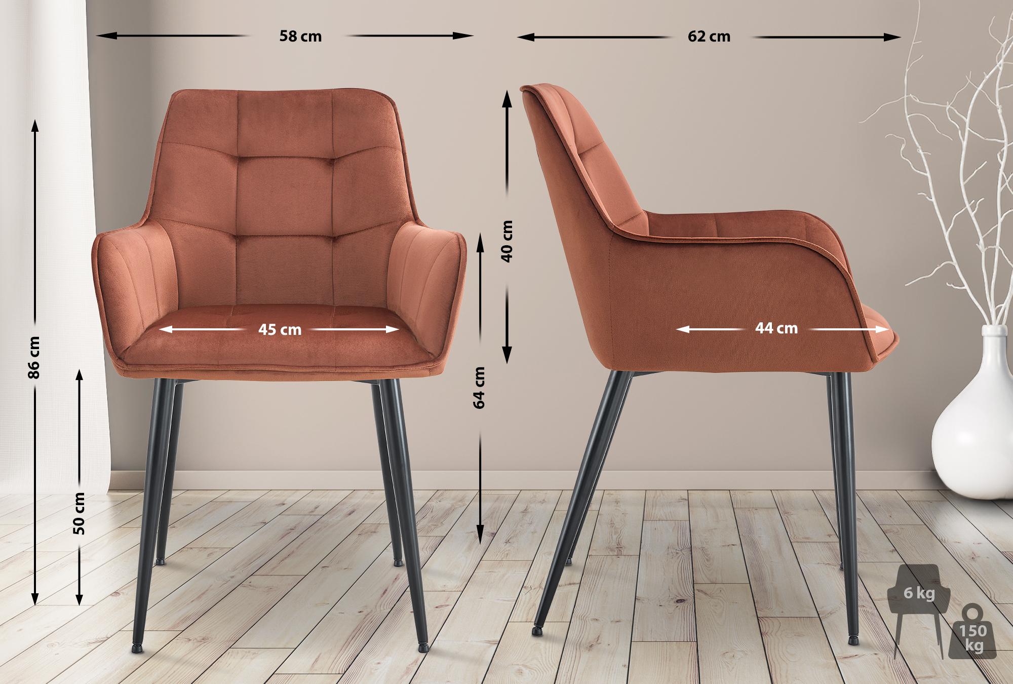 Set van 2 eetkamerstoelen Ferndale fluweel